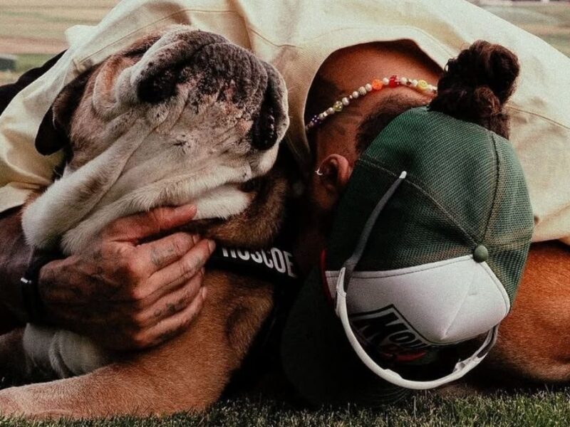 muere roscoe el perro de lewis hamilton