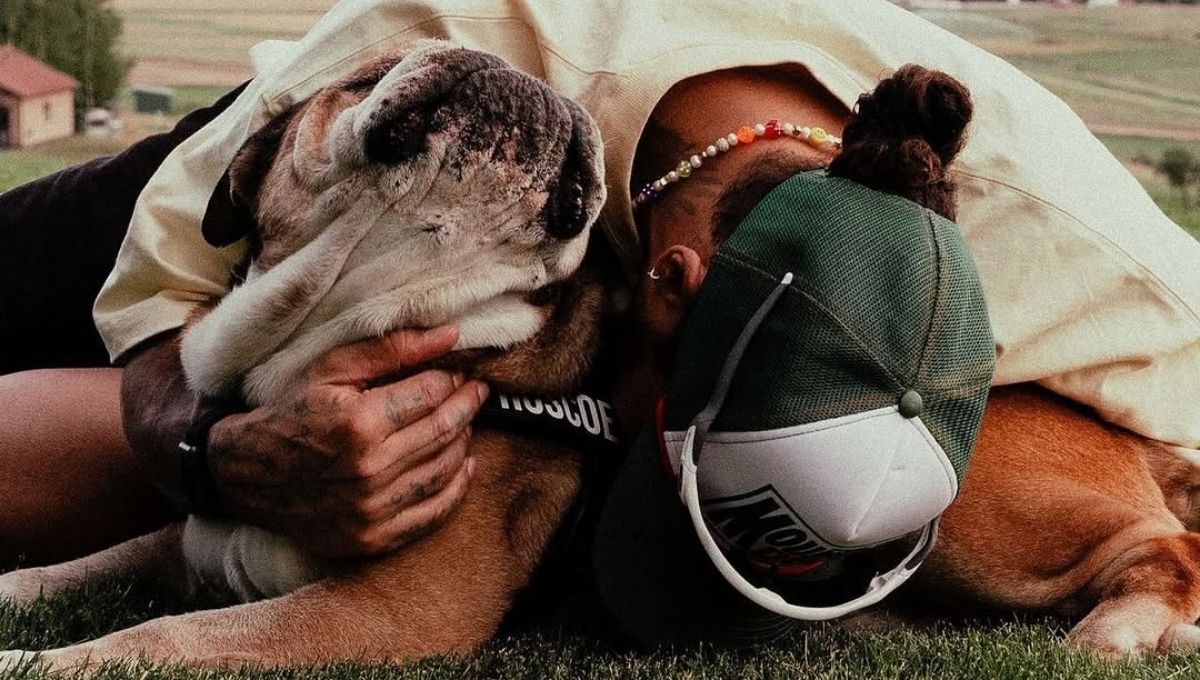 muere roscoe el perro de lewis hamilton