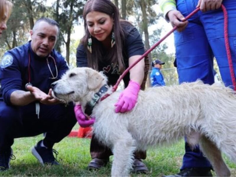 Clara Brugada da respuesta al problema del refugio