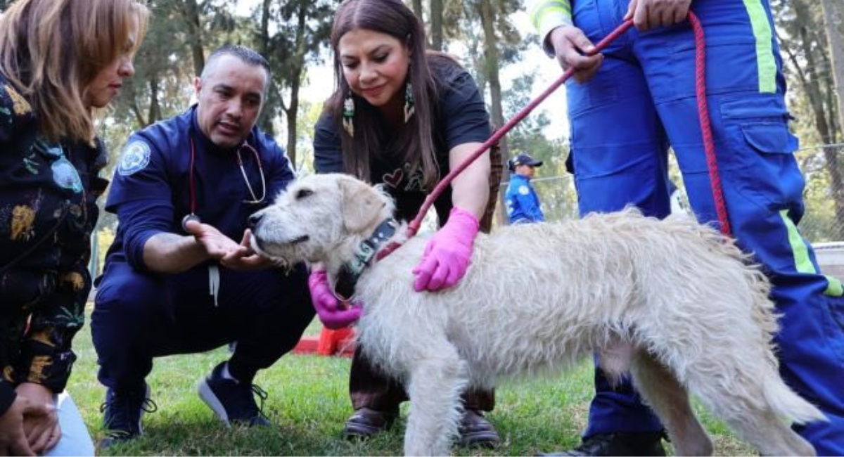 Clara Brugada da respuesta al problema del refugio