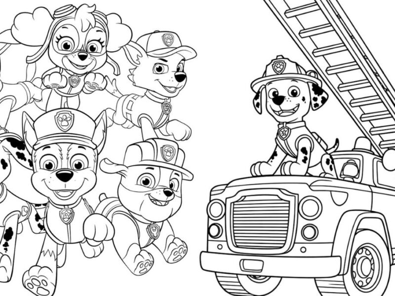 Dibujos bonitos de Paw Patrol para imprimir y colorear