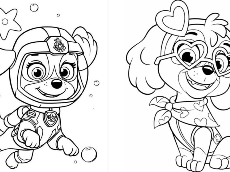 Dibujos bonitos de Skye de Paw Patrol para imprimir y colorear