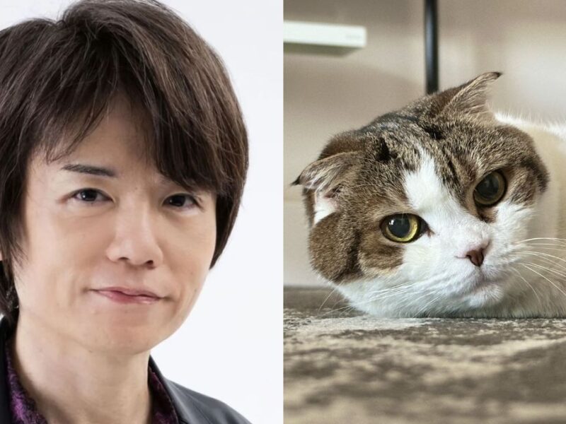 Qué le pasó a Fukurashi la gatita de Masahiro Sakurai creador de Kirby