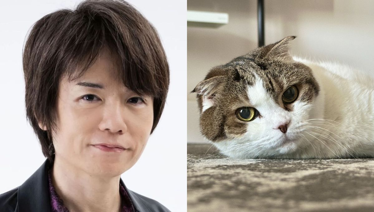 Qué le pasó a Fukurashi la gatita de Masahiro Sakurai creador de Kirby