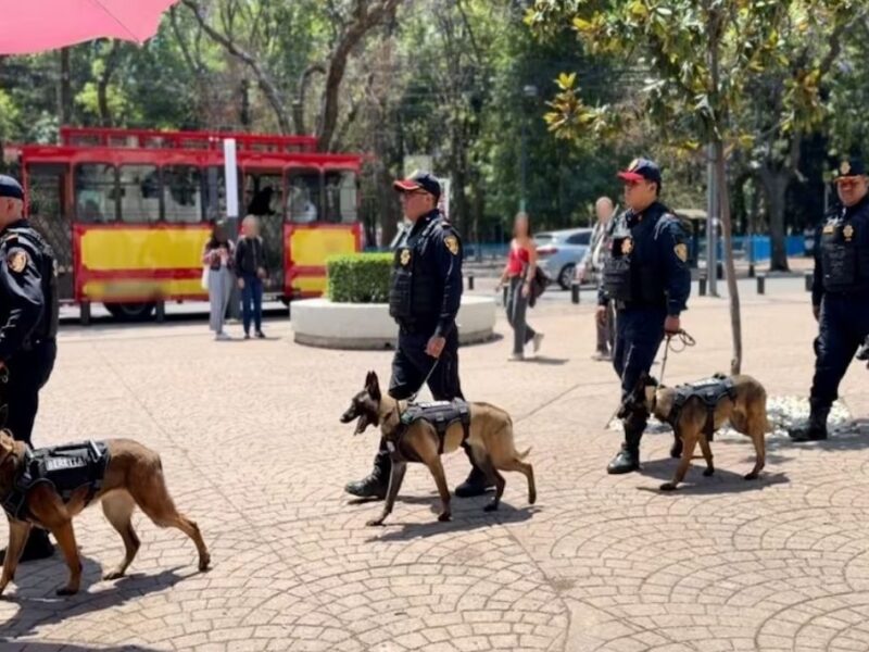 4 nuevos perros policía al Grupo Cerbero de la SSC