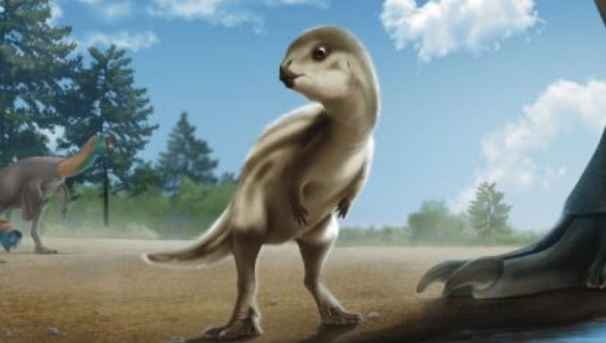 hallan nueva especie de dinosaurio en corea del sur