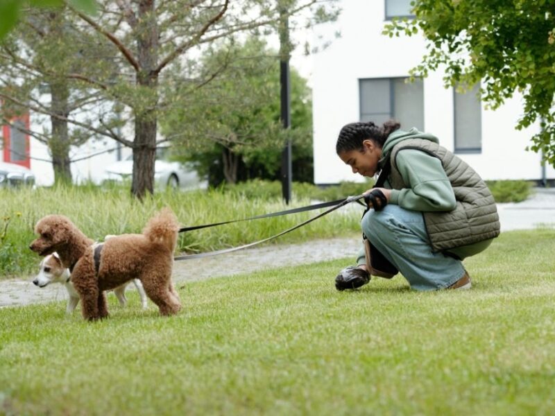 multa por no recoger popo de perro en cdmx