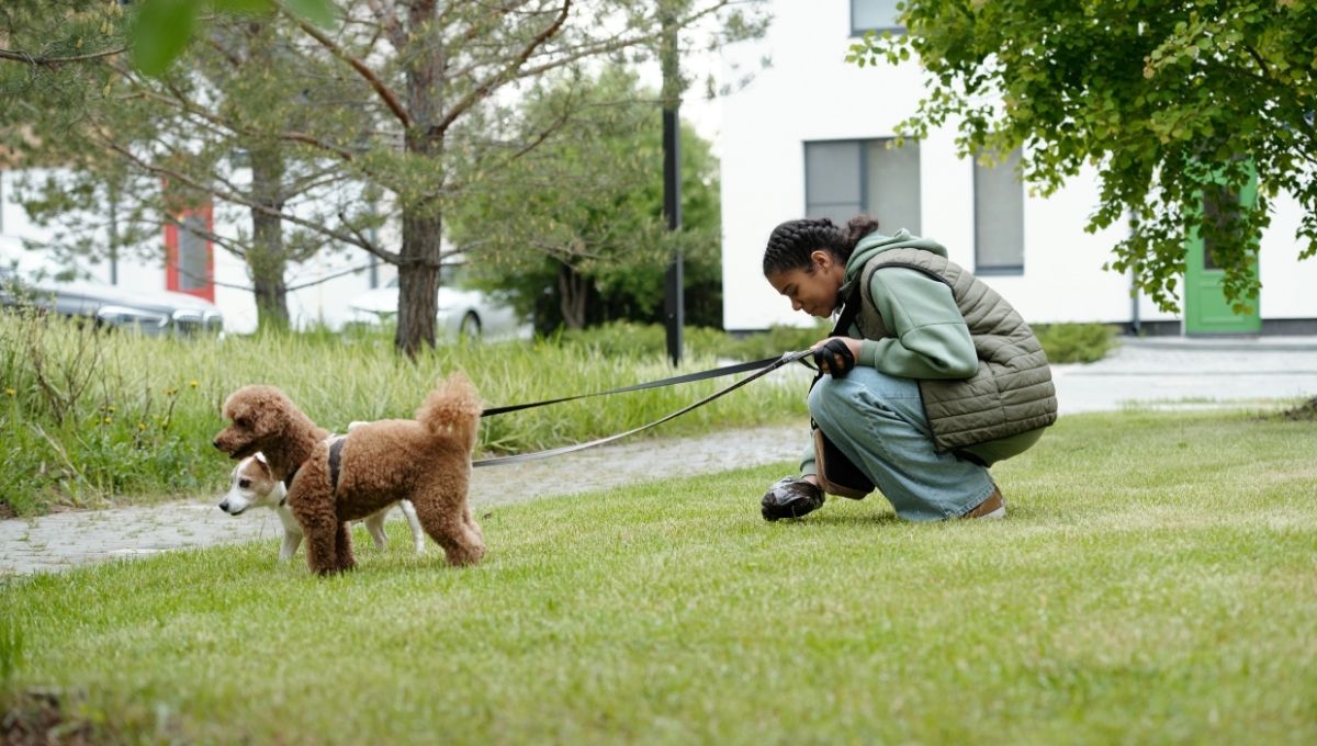 multa por no recoger popo de perro en cdmx