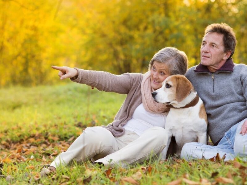 Tener un perro mejora la memoria y retrasa el envejecimiento