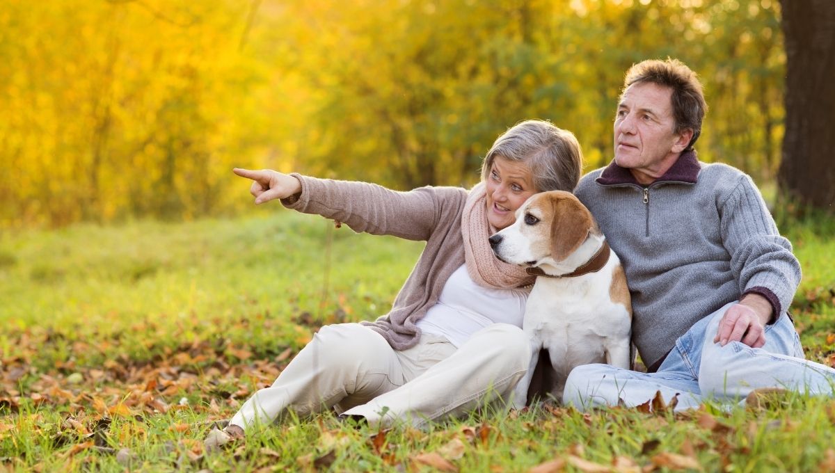 Tener un perro mejora la memoria y retrasa el envejecimiento