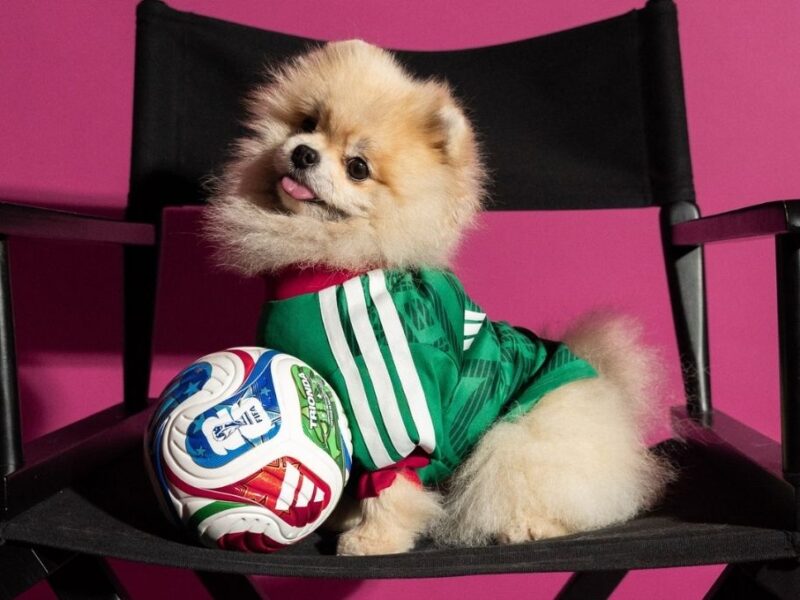 jerseys adidas de perro para el mundial 2026
