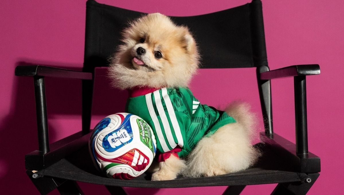 jerseys adidas de perro para el mundial 2026